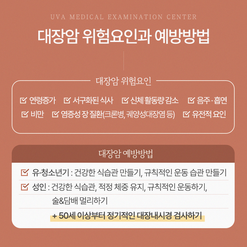 이미지 5