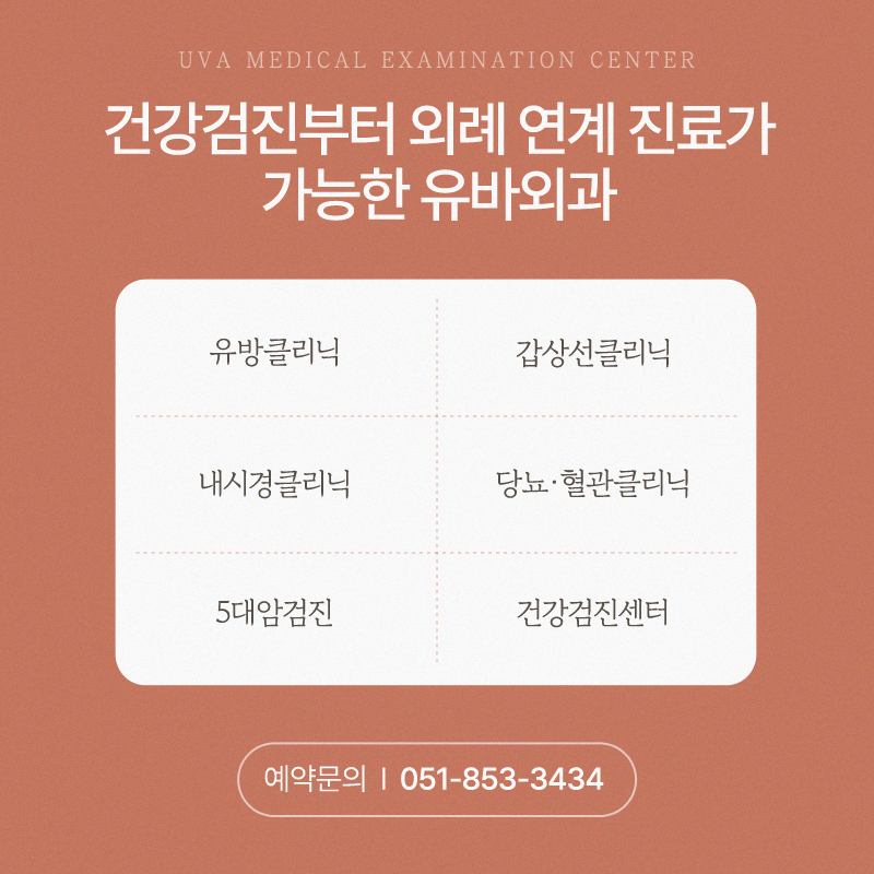 이미지 7