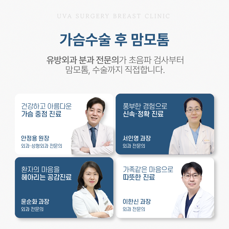이미지 5