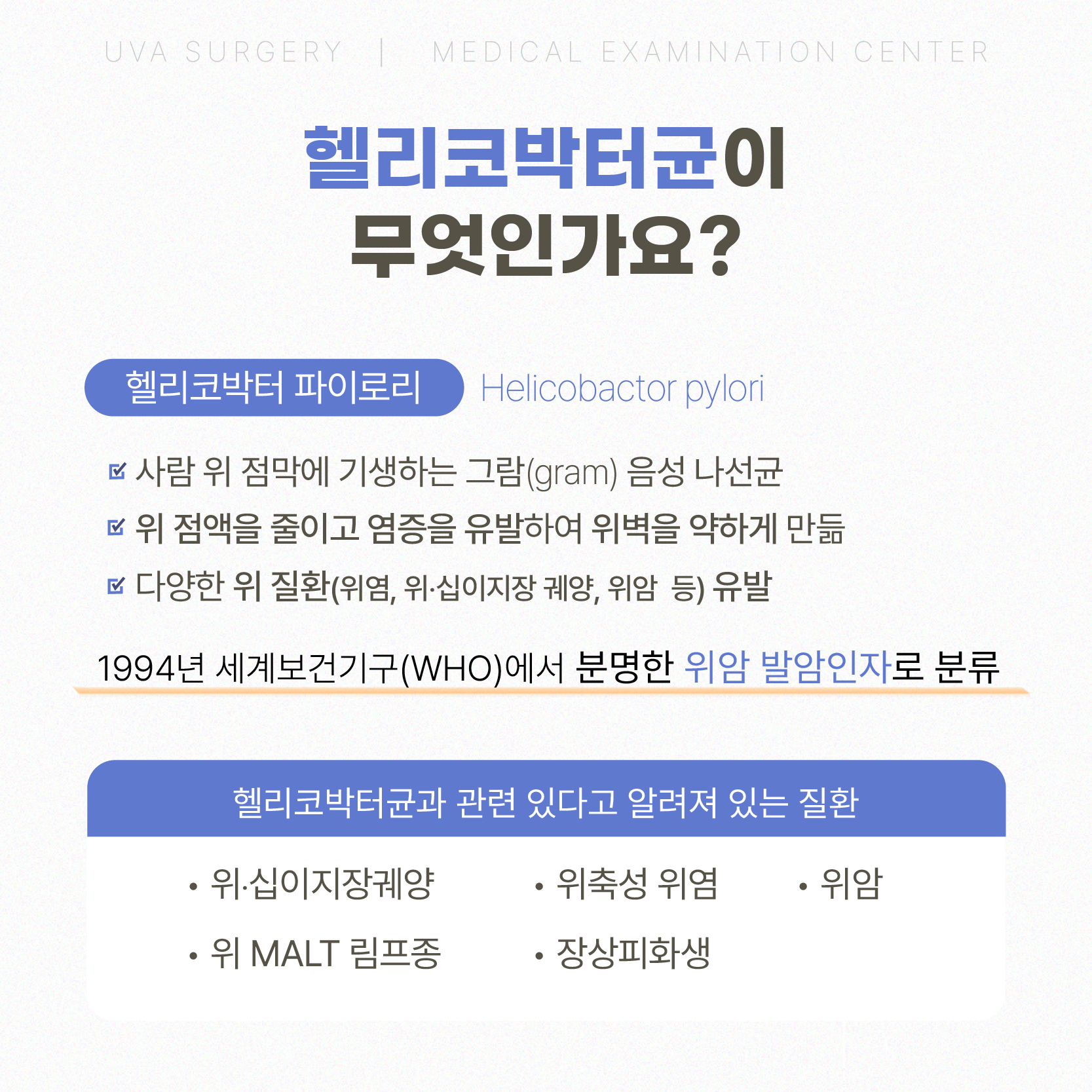 이미지 2