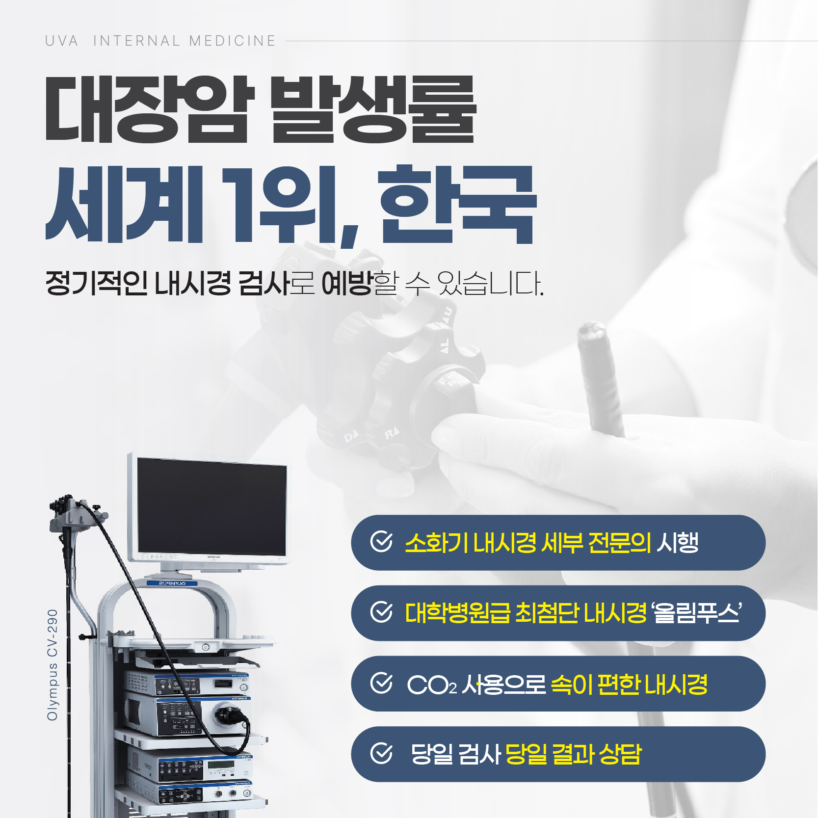 이미지 7