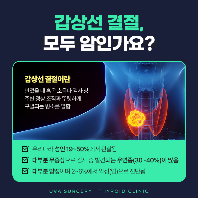 이미지 2