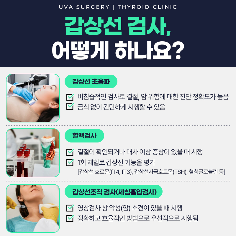 이미지 5
