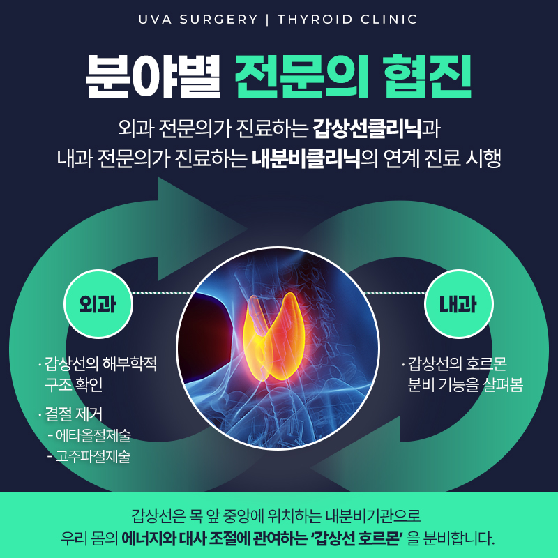 이미지 6