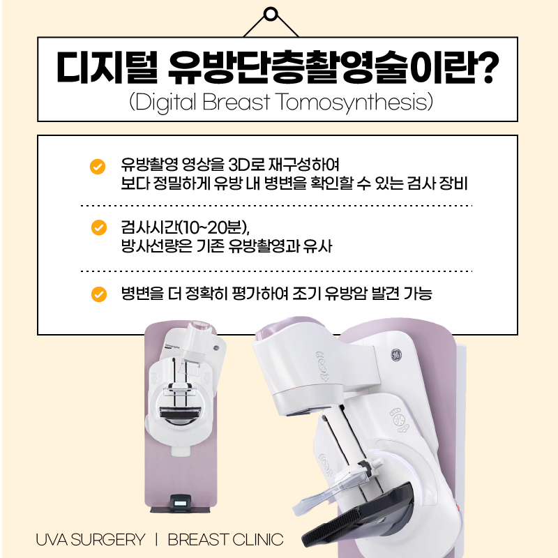 이미지 2