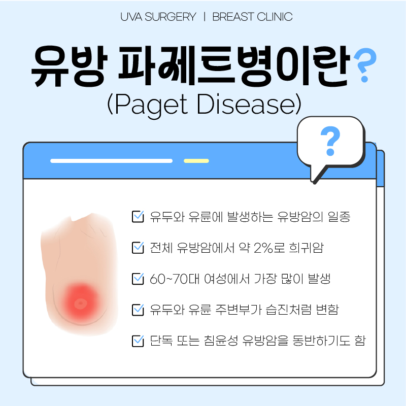 이미지 2