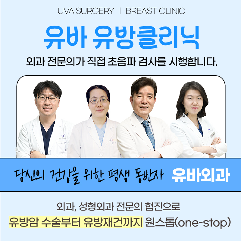 이미지 6
