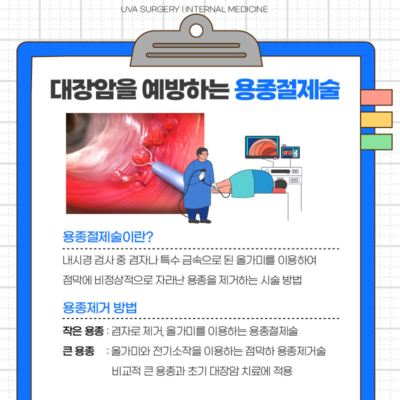 이미지 5