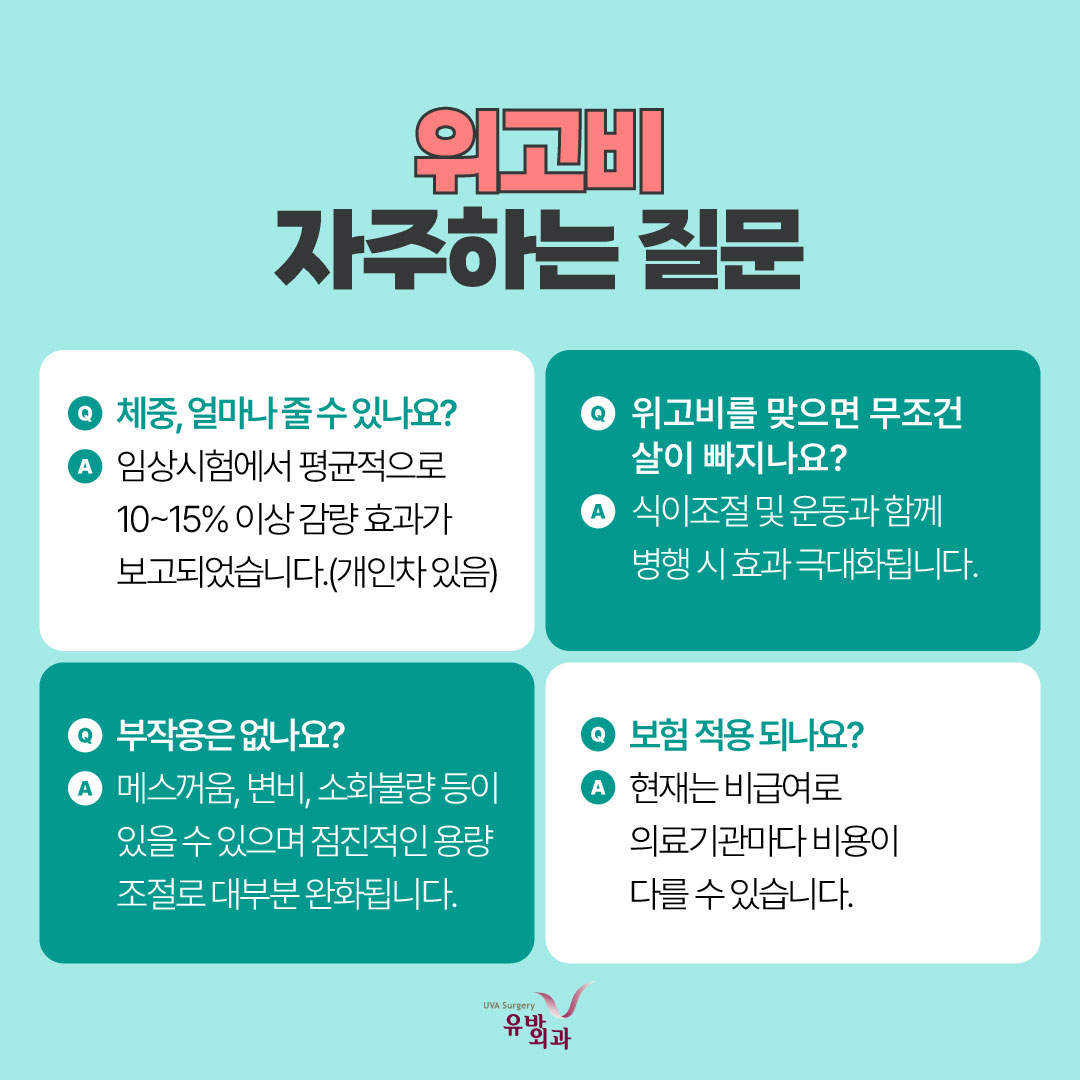 이미지 6