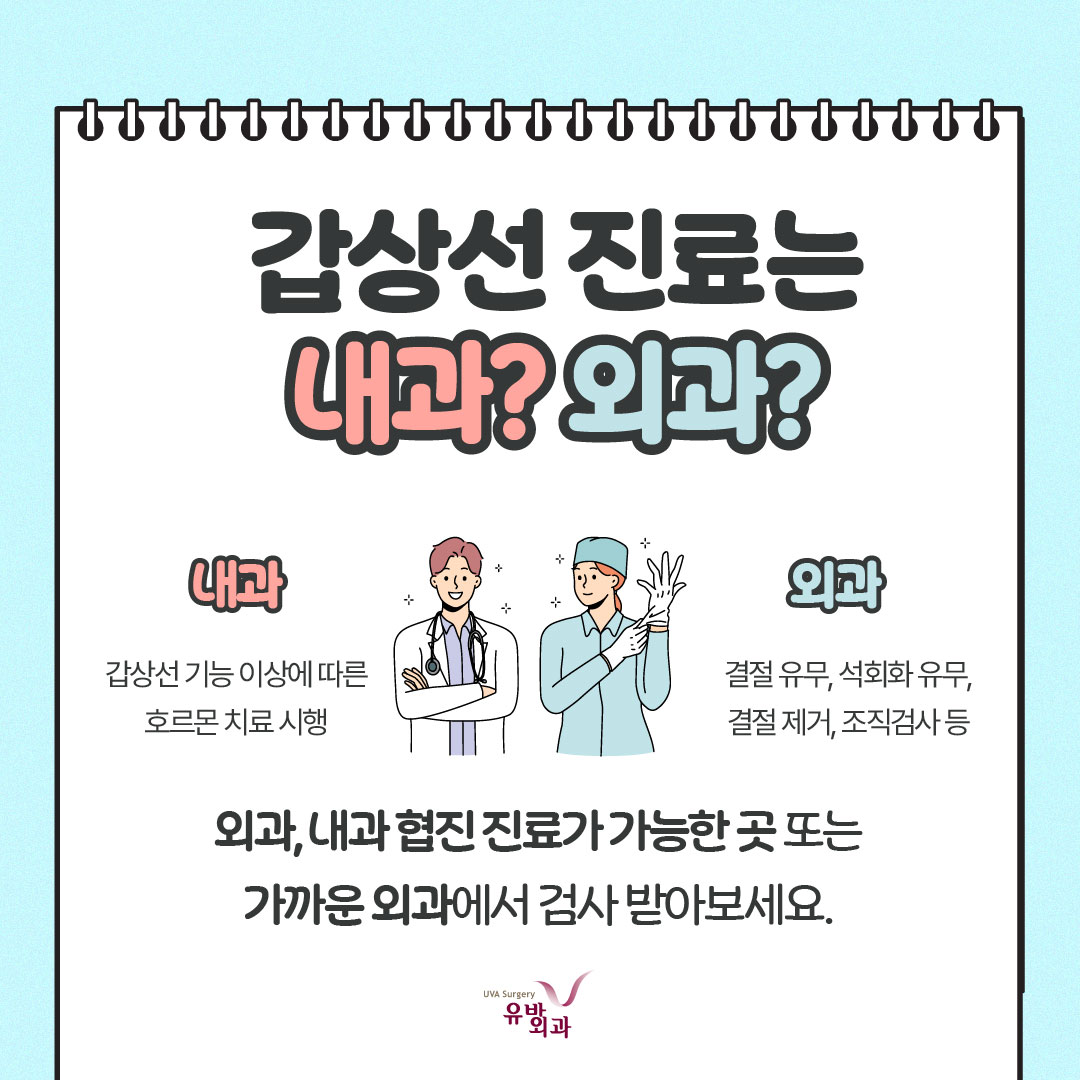 이미지 5