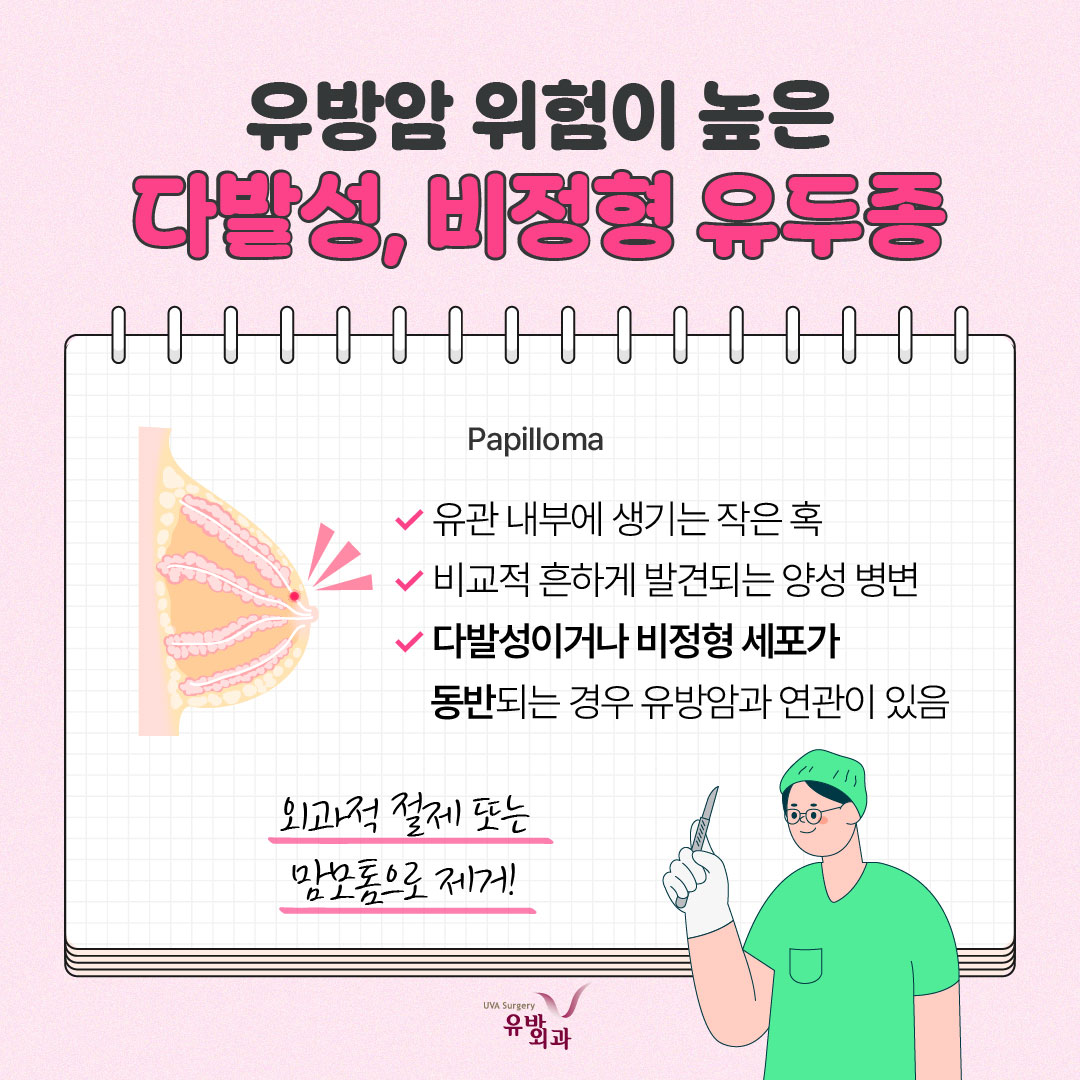 이미지 6