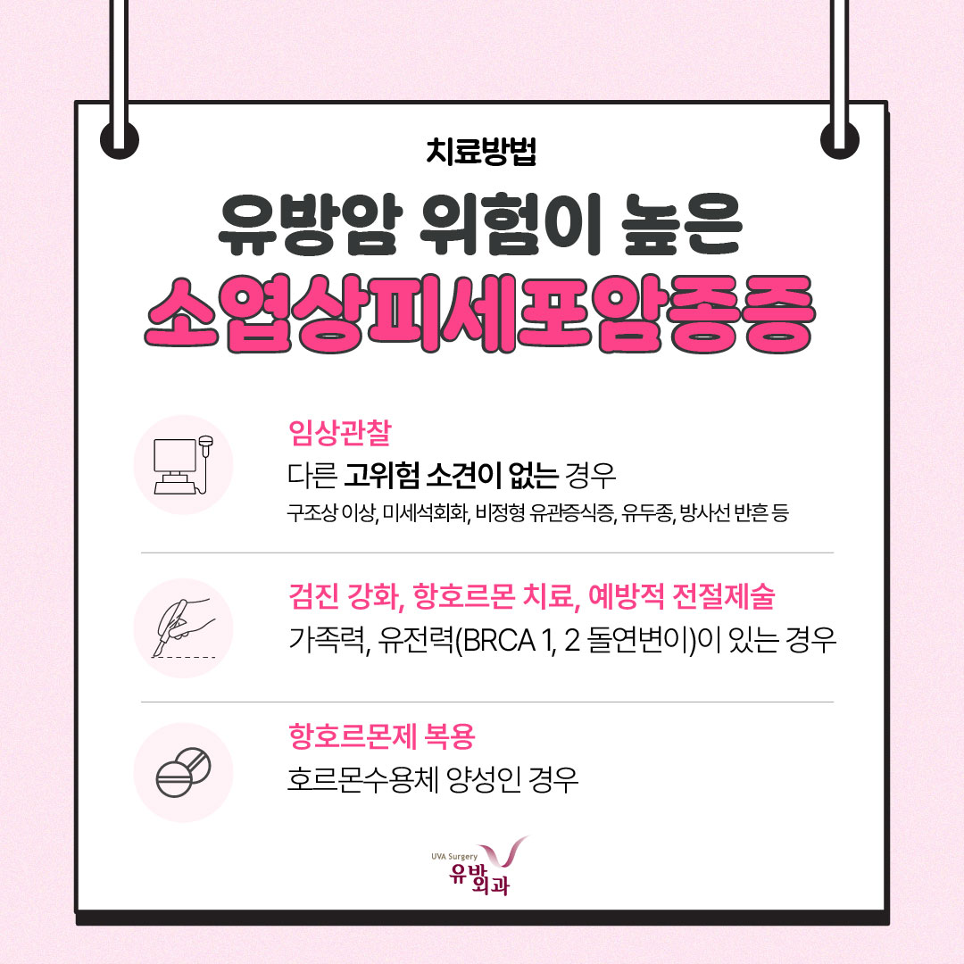이미지 5