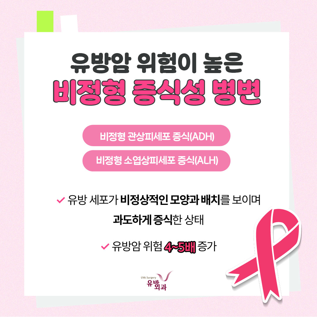 이미지 2