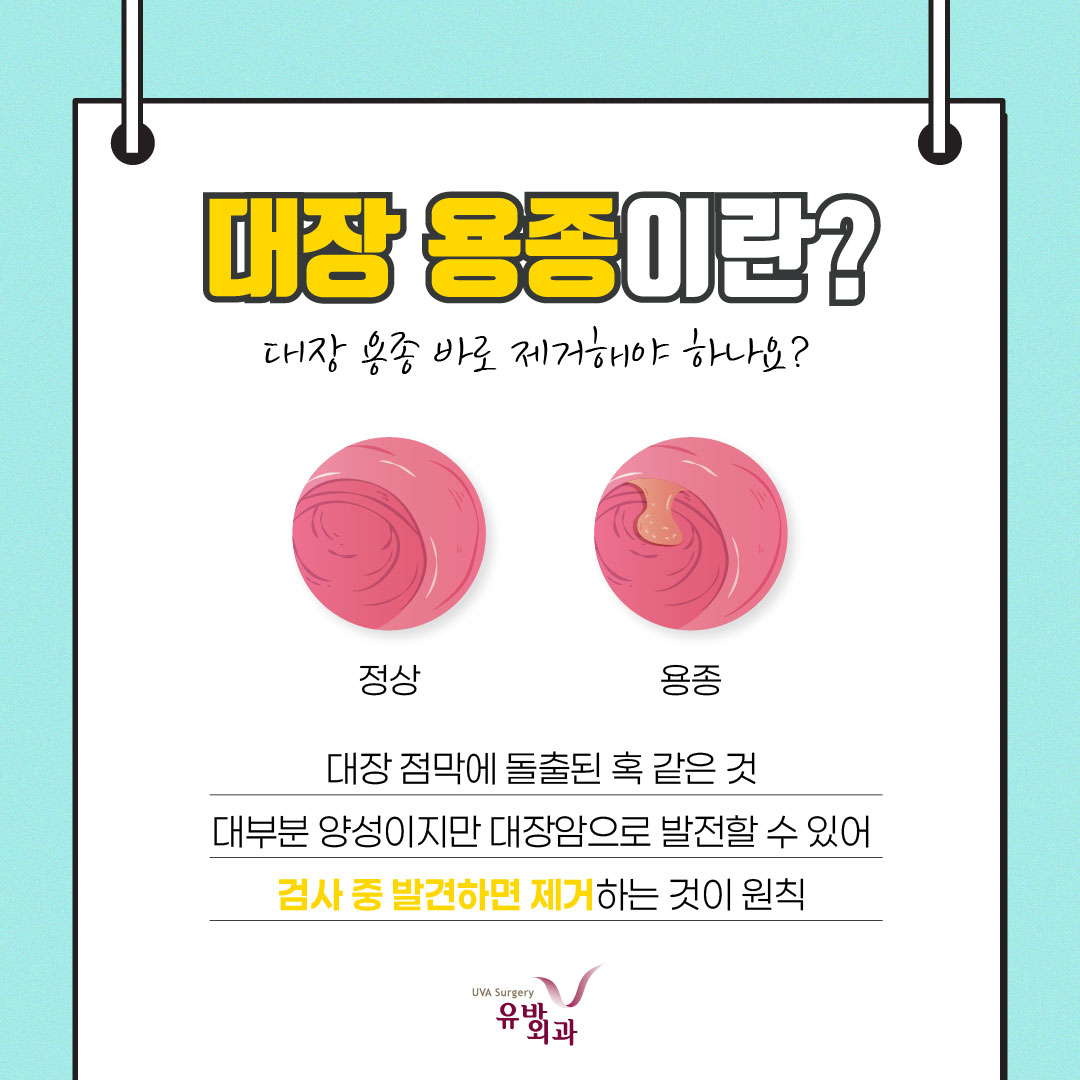 이미지 2