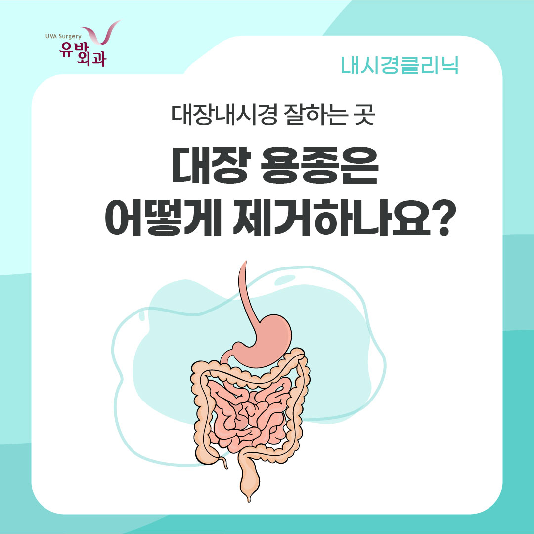 이미지 1