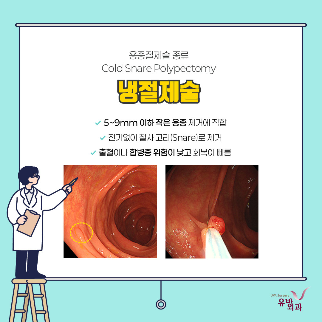 이미지 5