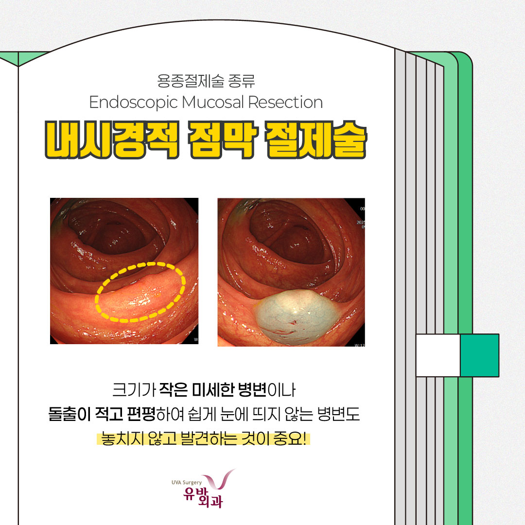 이미지 7