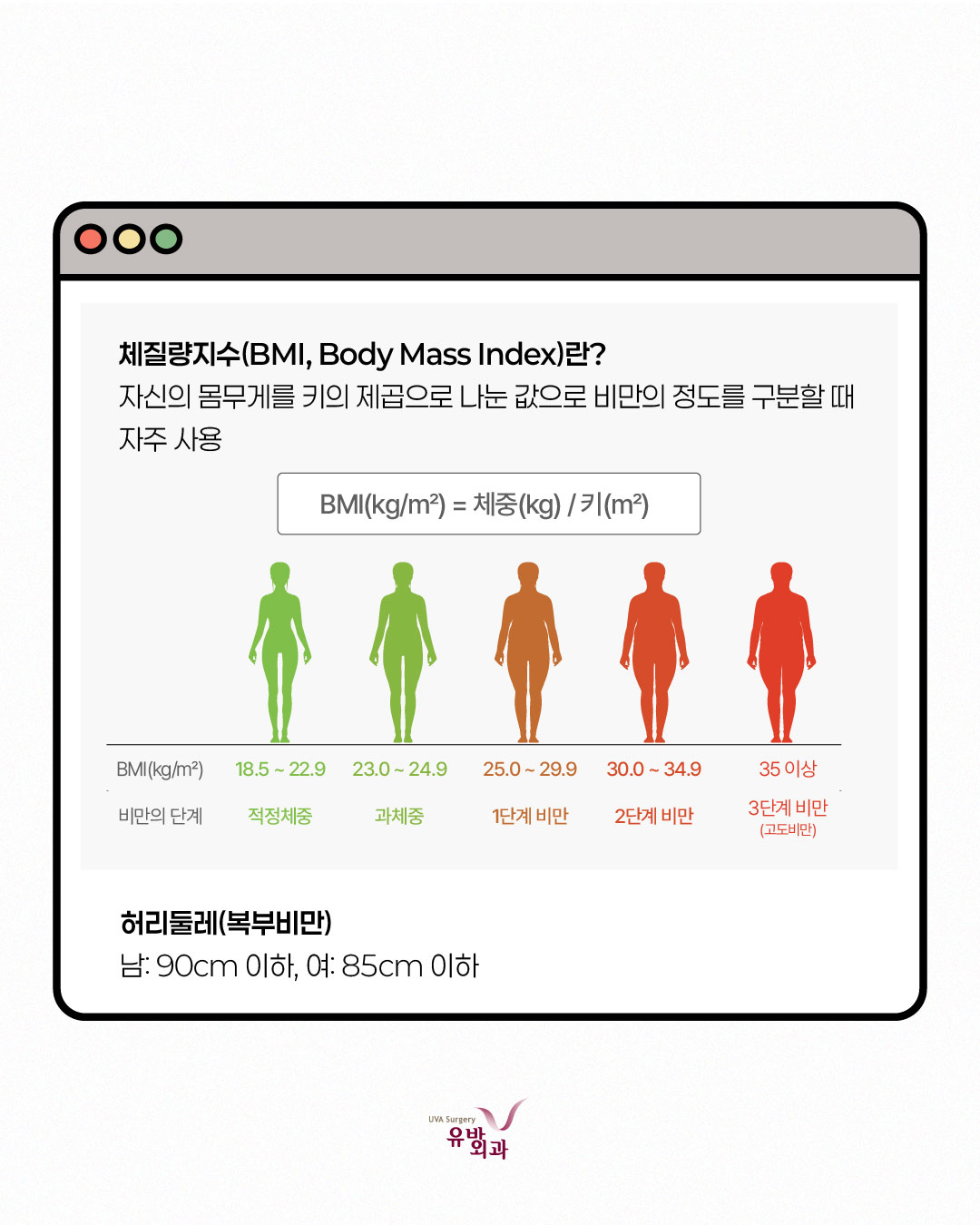 이미지 8