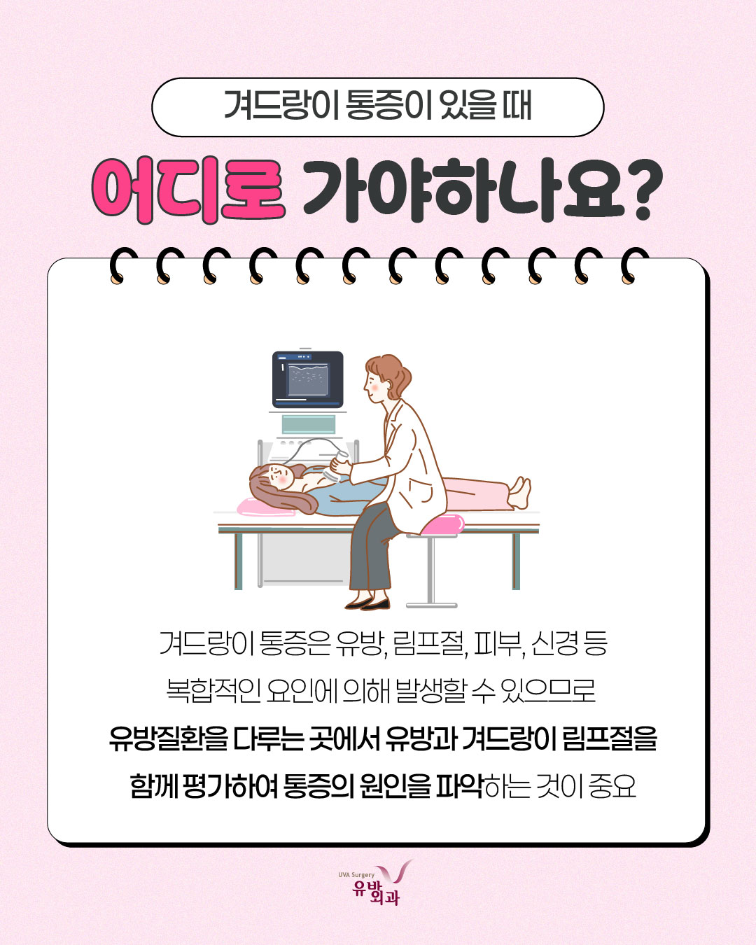 이미지 5