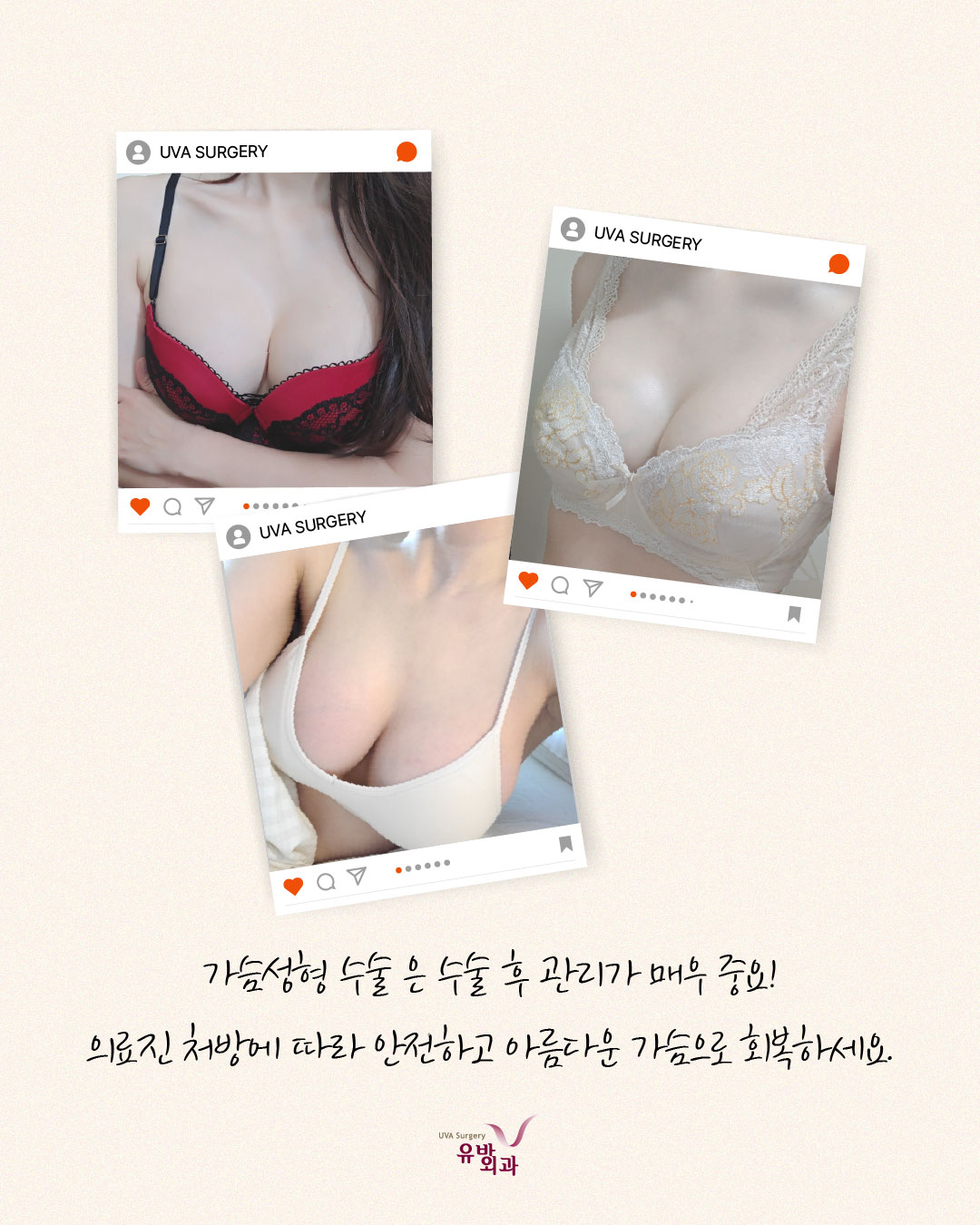 이미지 6