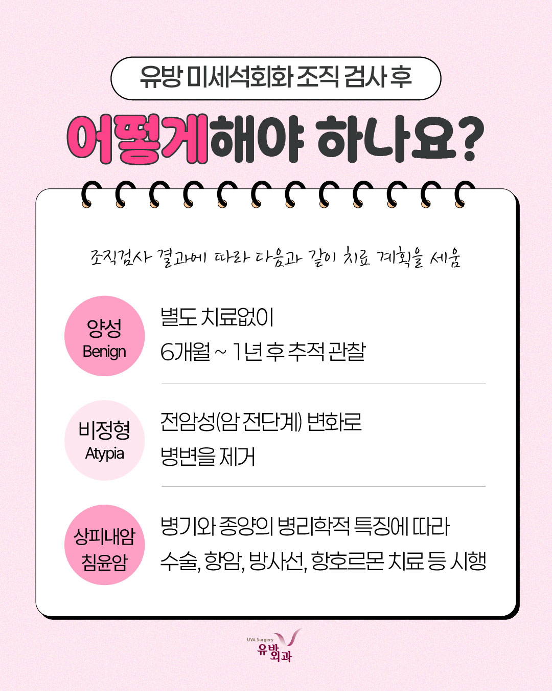 이미지 6