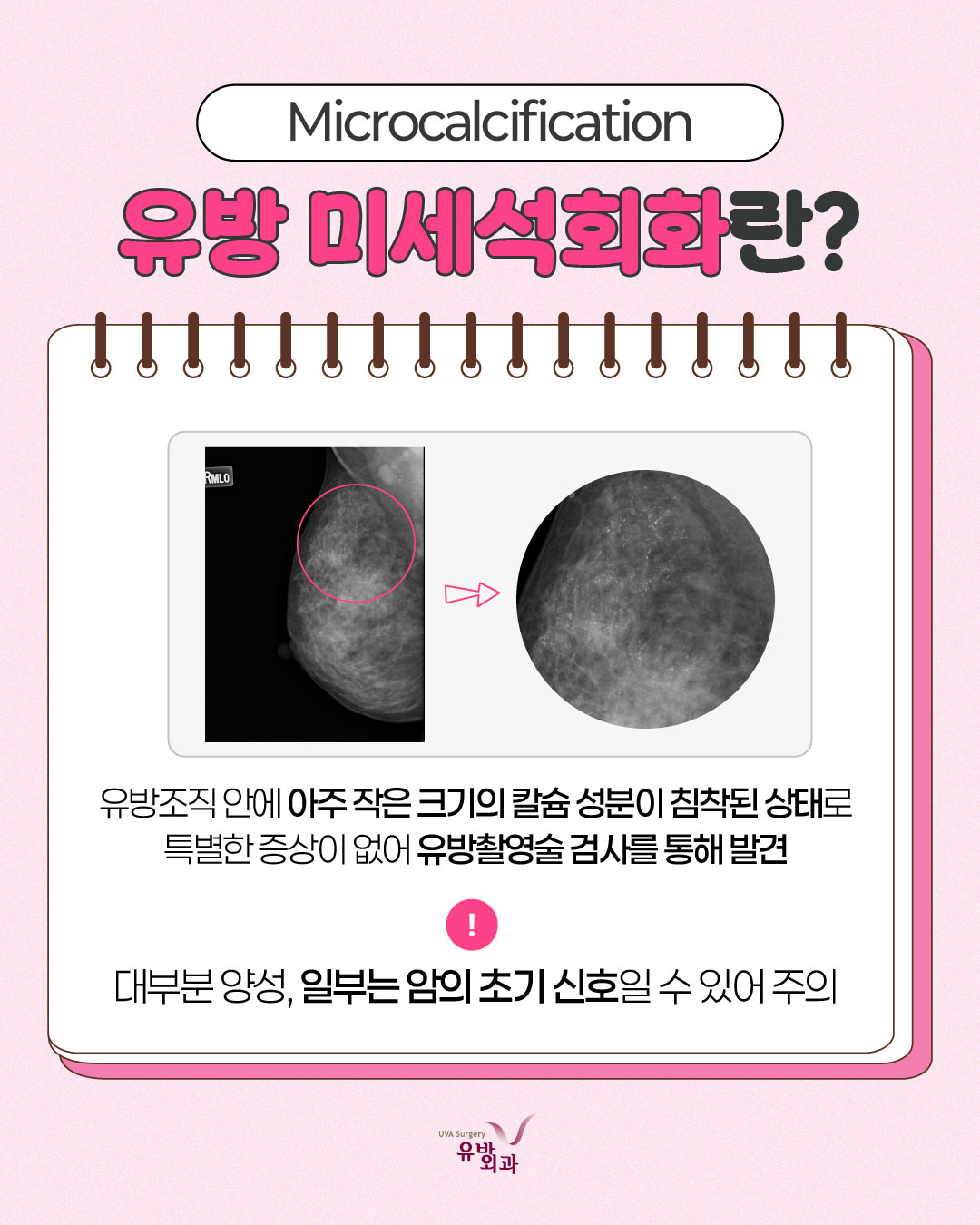 이미지 2