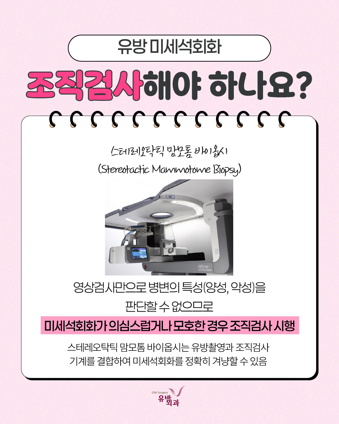 이미지 5