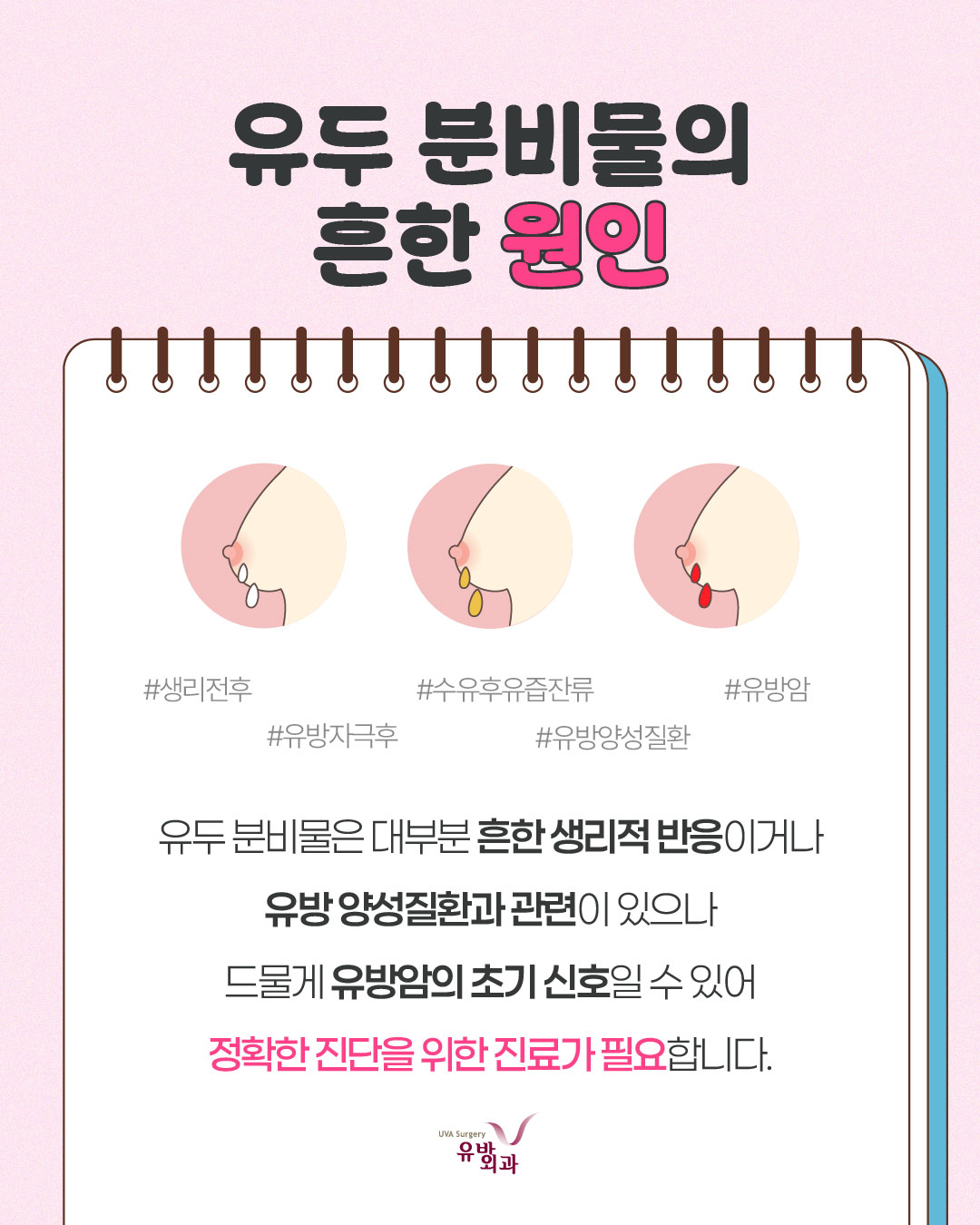 이미지 2