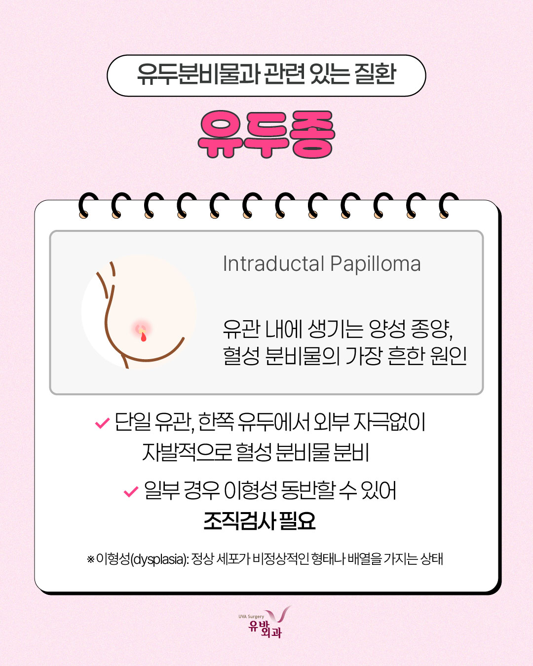 이미지 5