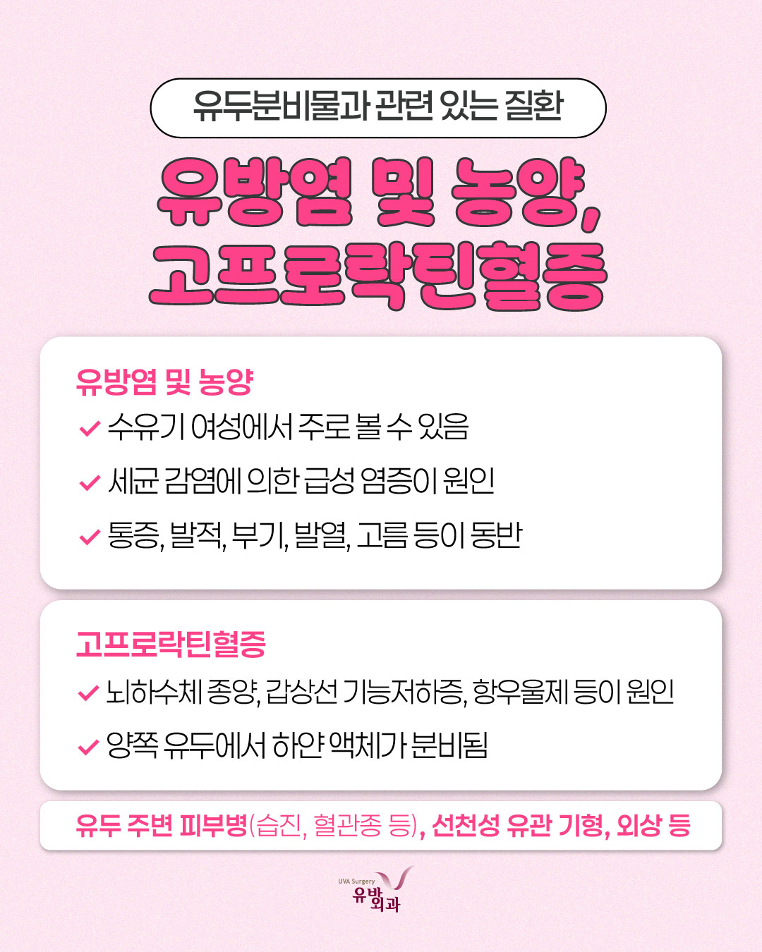 이미지 7