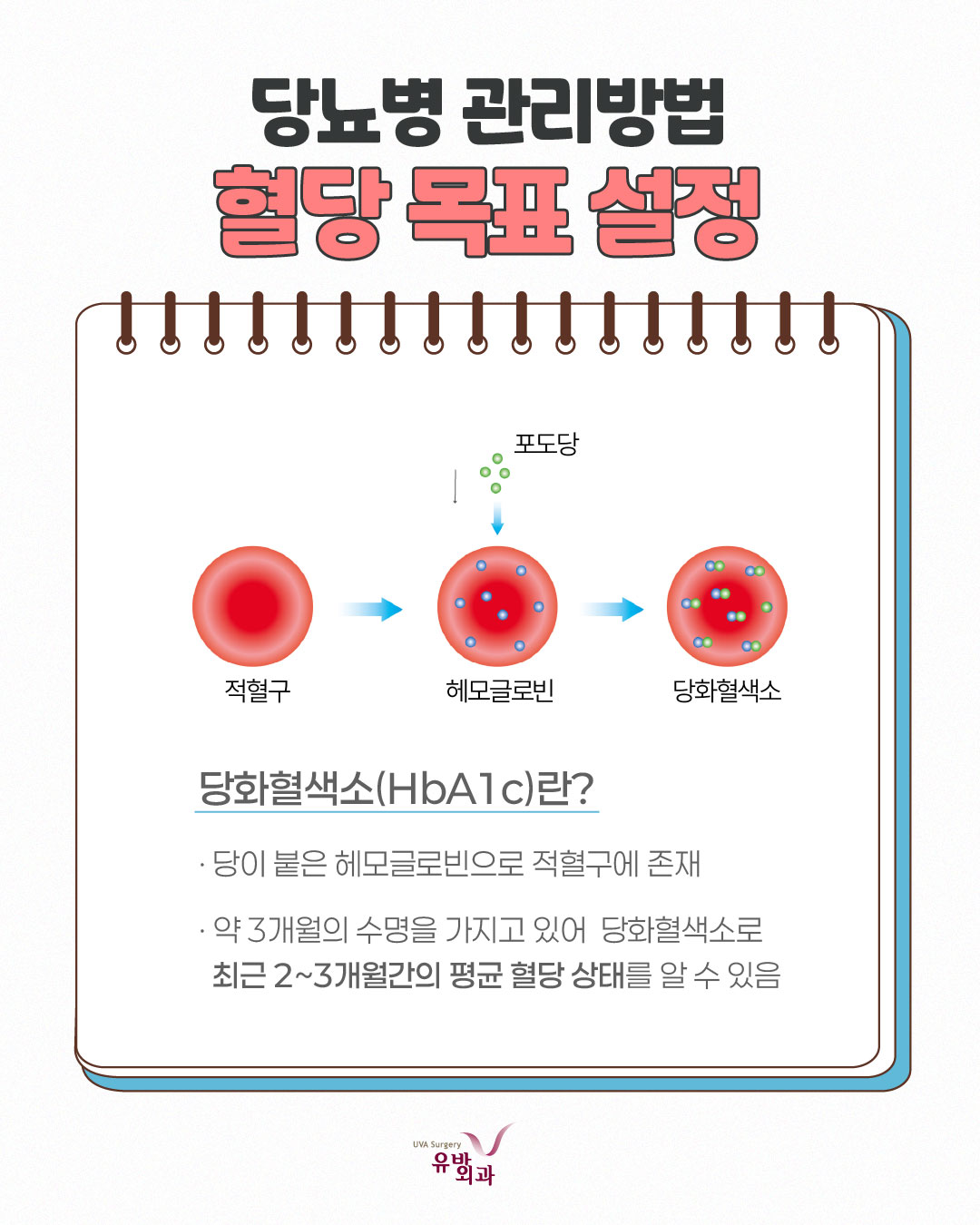 이미지 5