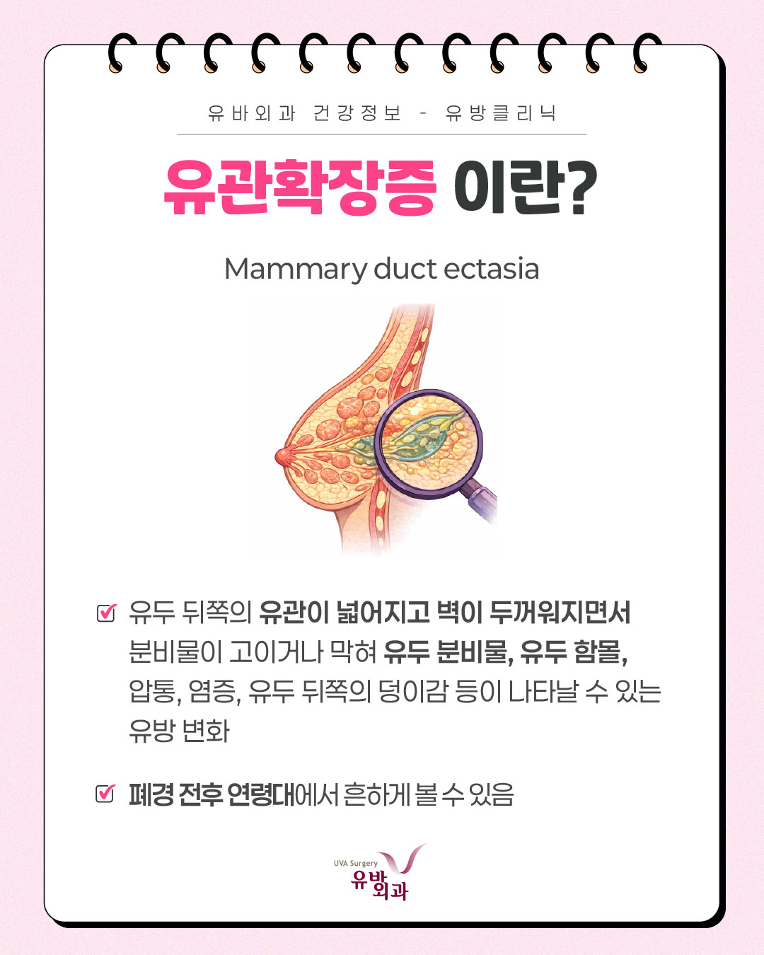 이미지 2