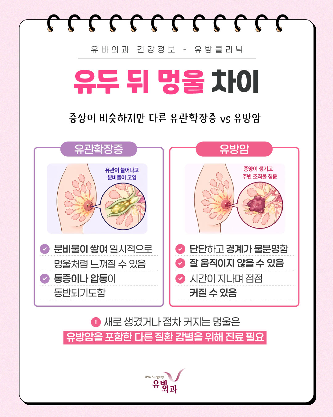 이미지 6