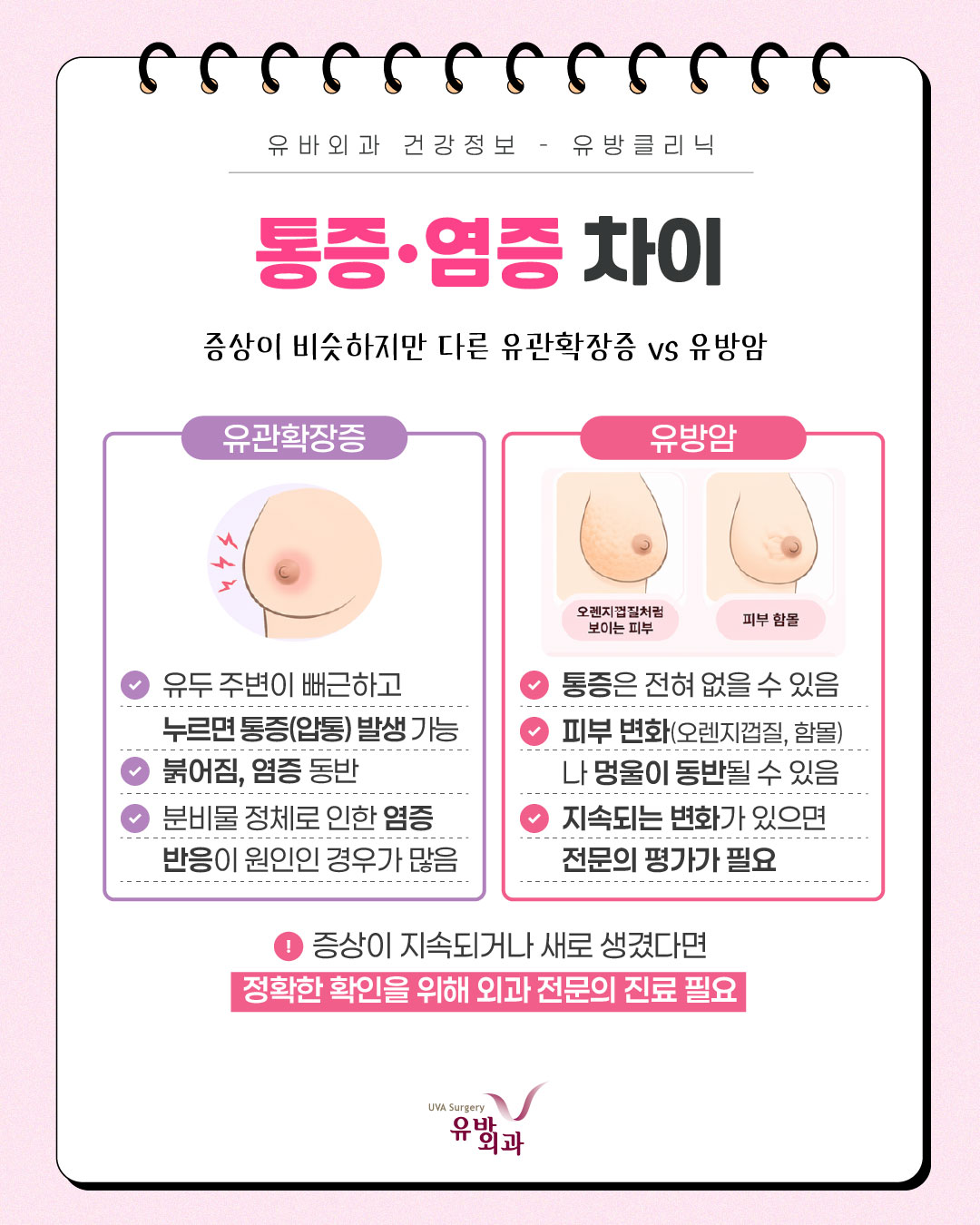 이미지 5