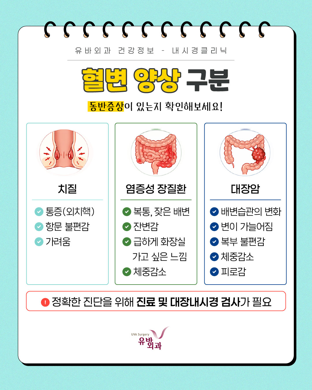 이미지 5