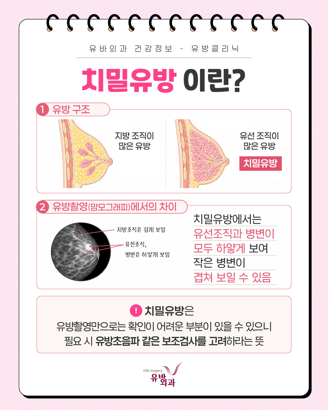 이미지 2
