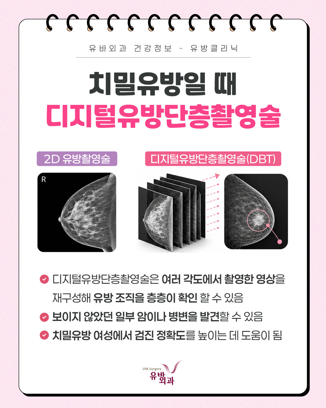 이미지 5