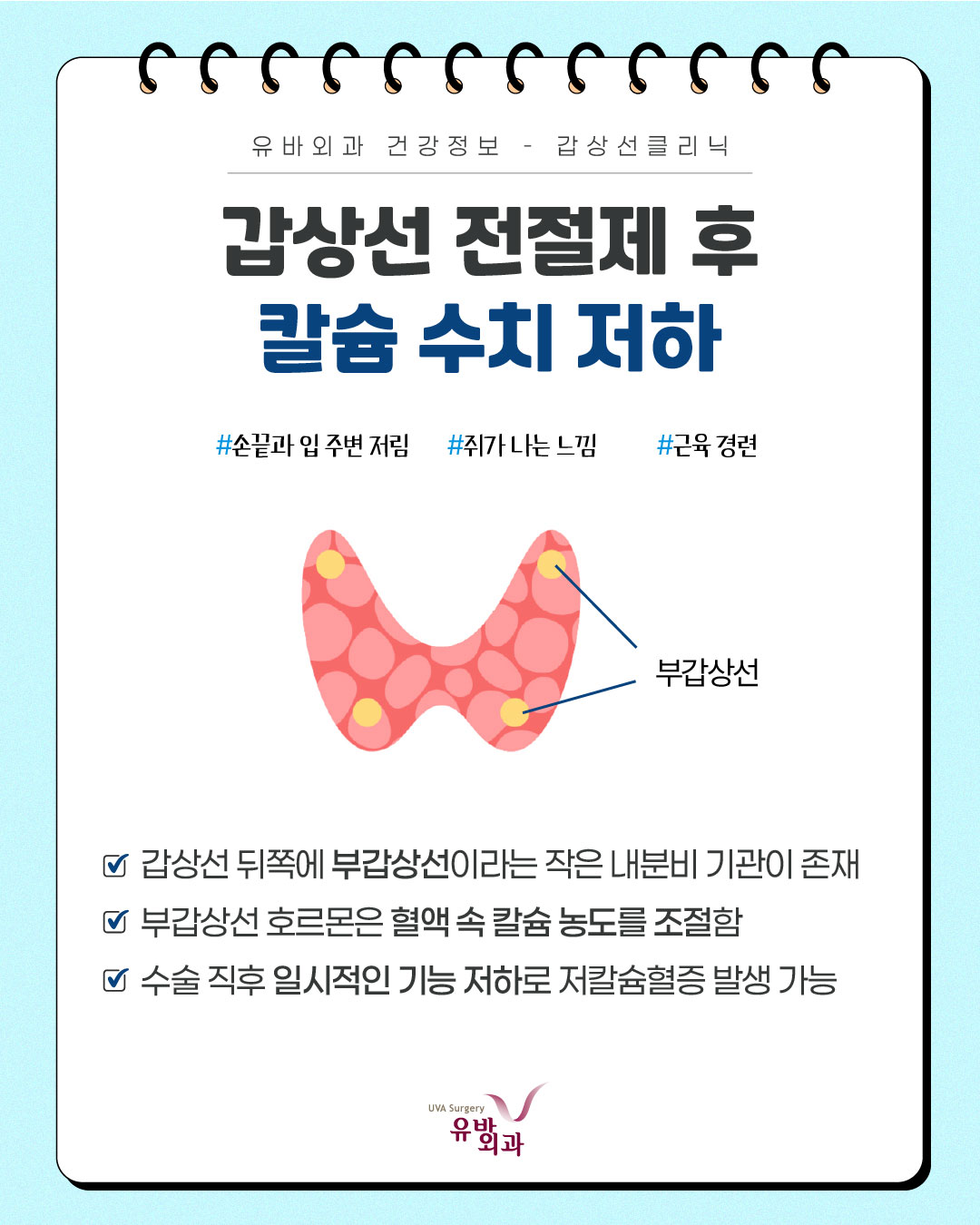이미지 6