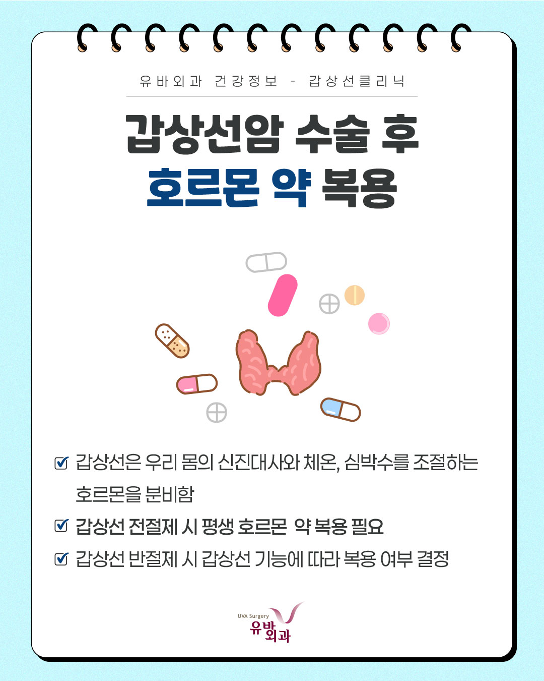 이미지 5