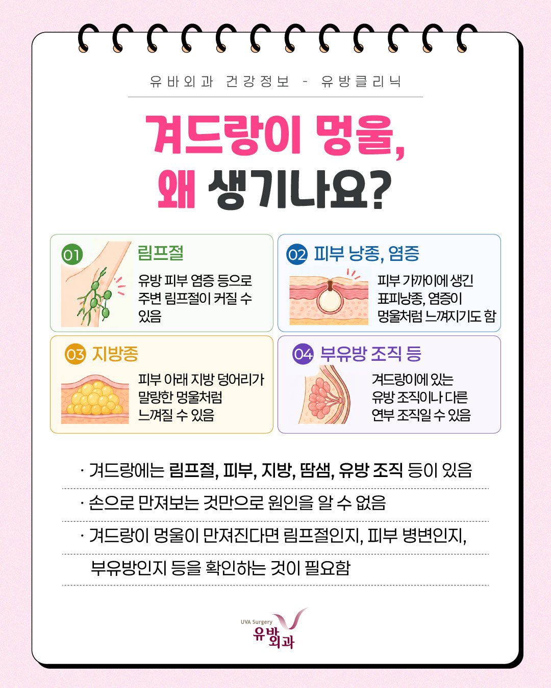 이미지 2