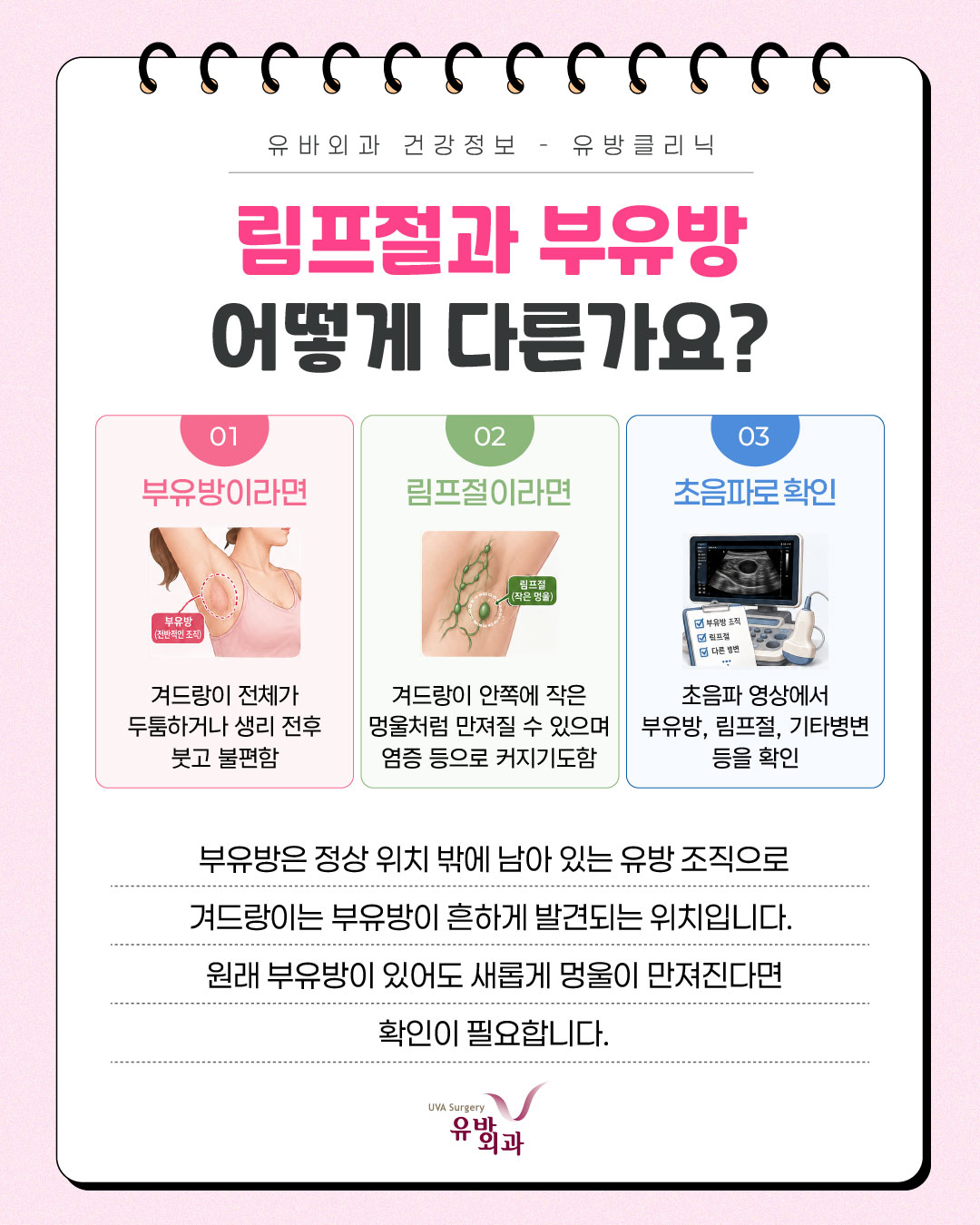 이미지 5