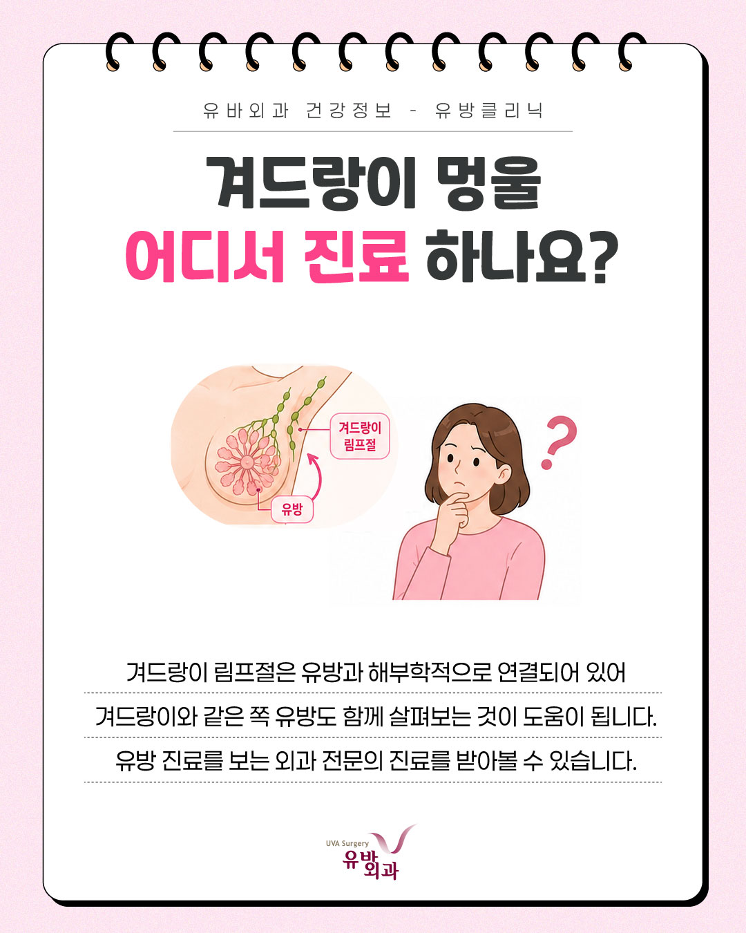 이미지 7