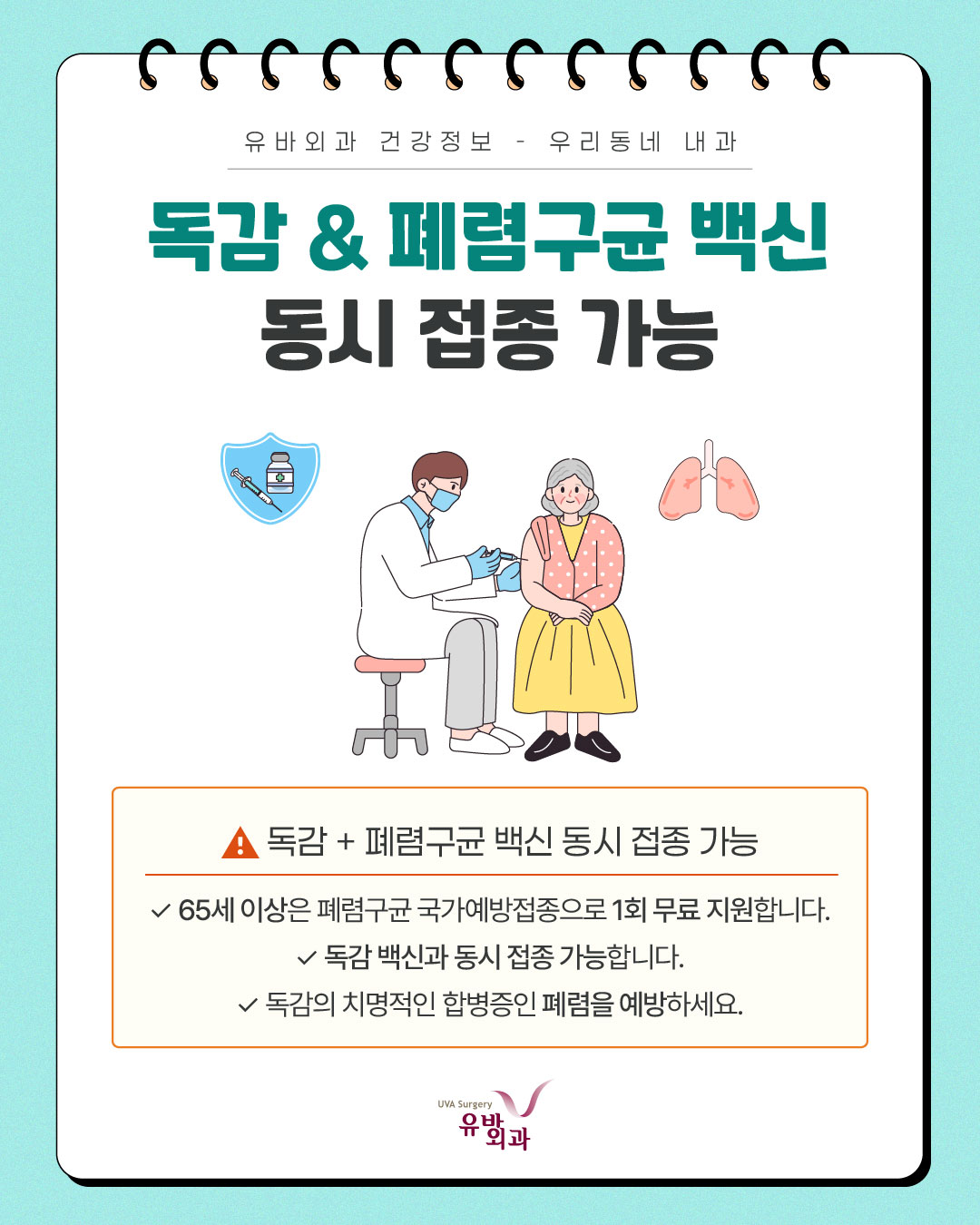 이미지 5